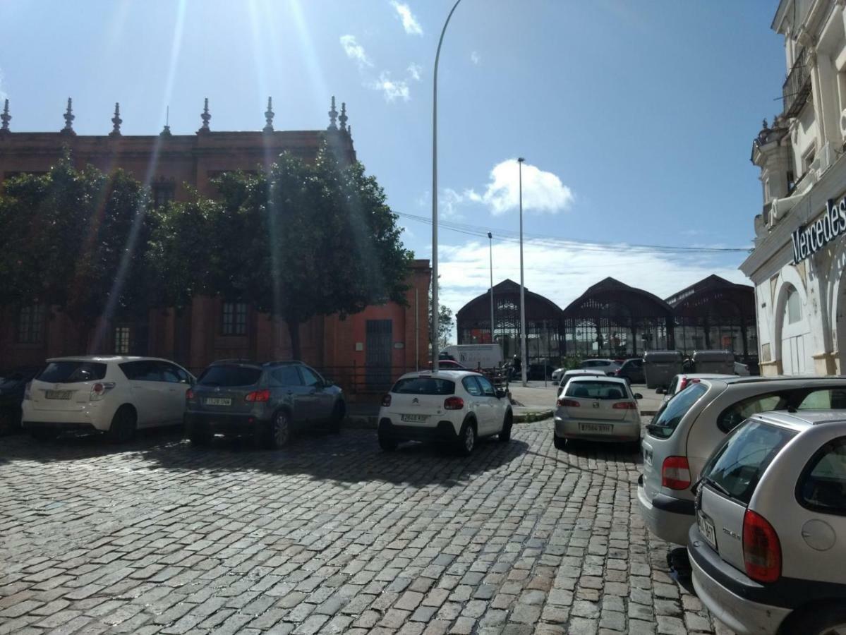 Segura Donkey Siviglia