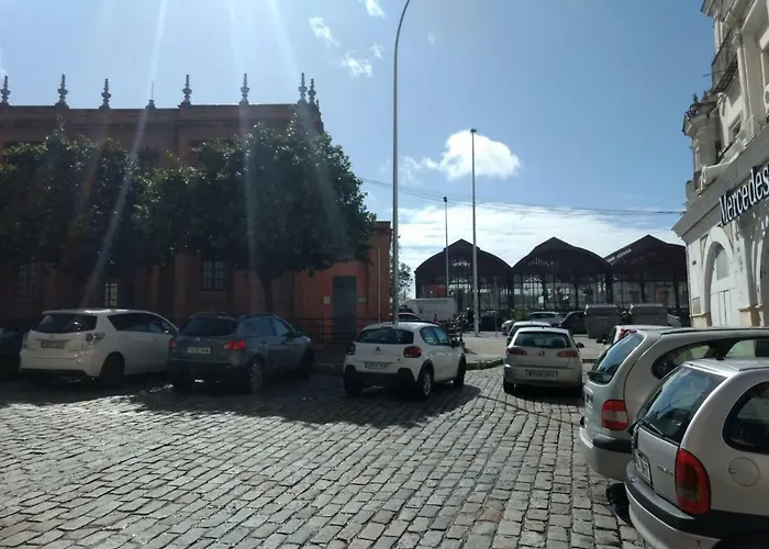 Segura Donkey